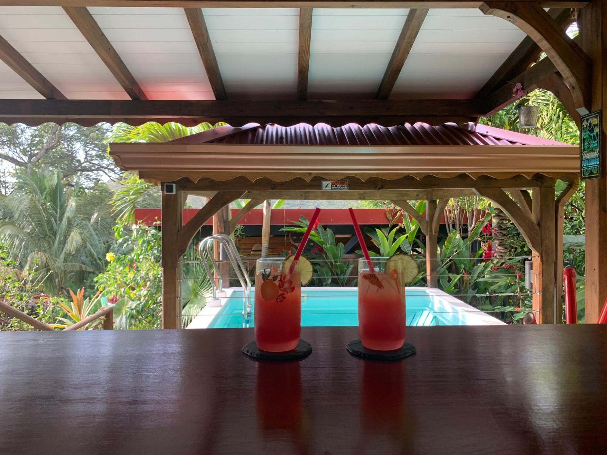 Les Ilets Caraibes Vue Mer Bouillante Bagian luar foto
