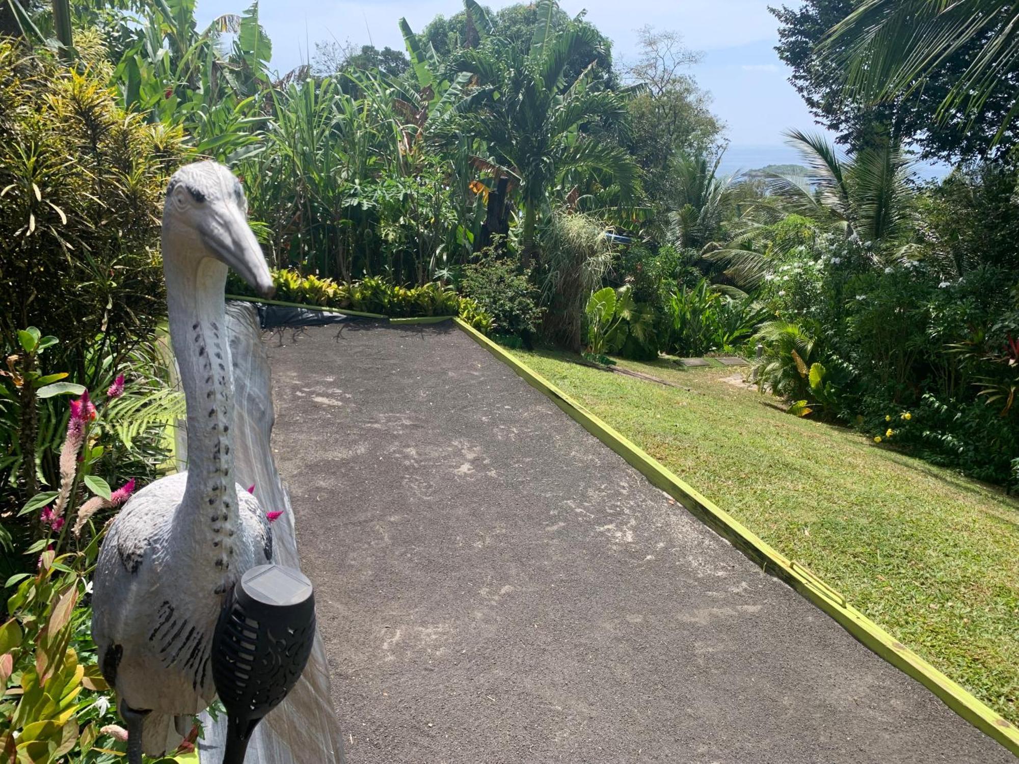 Les Ilets Caraibes Vue Mer Bouillante Bagian luar foto