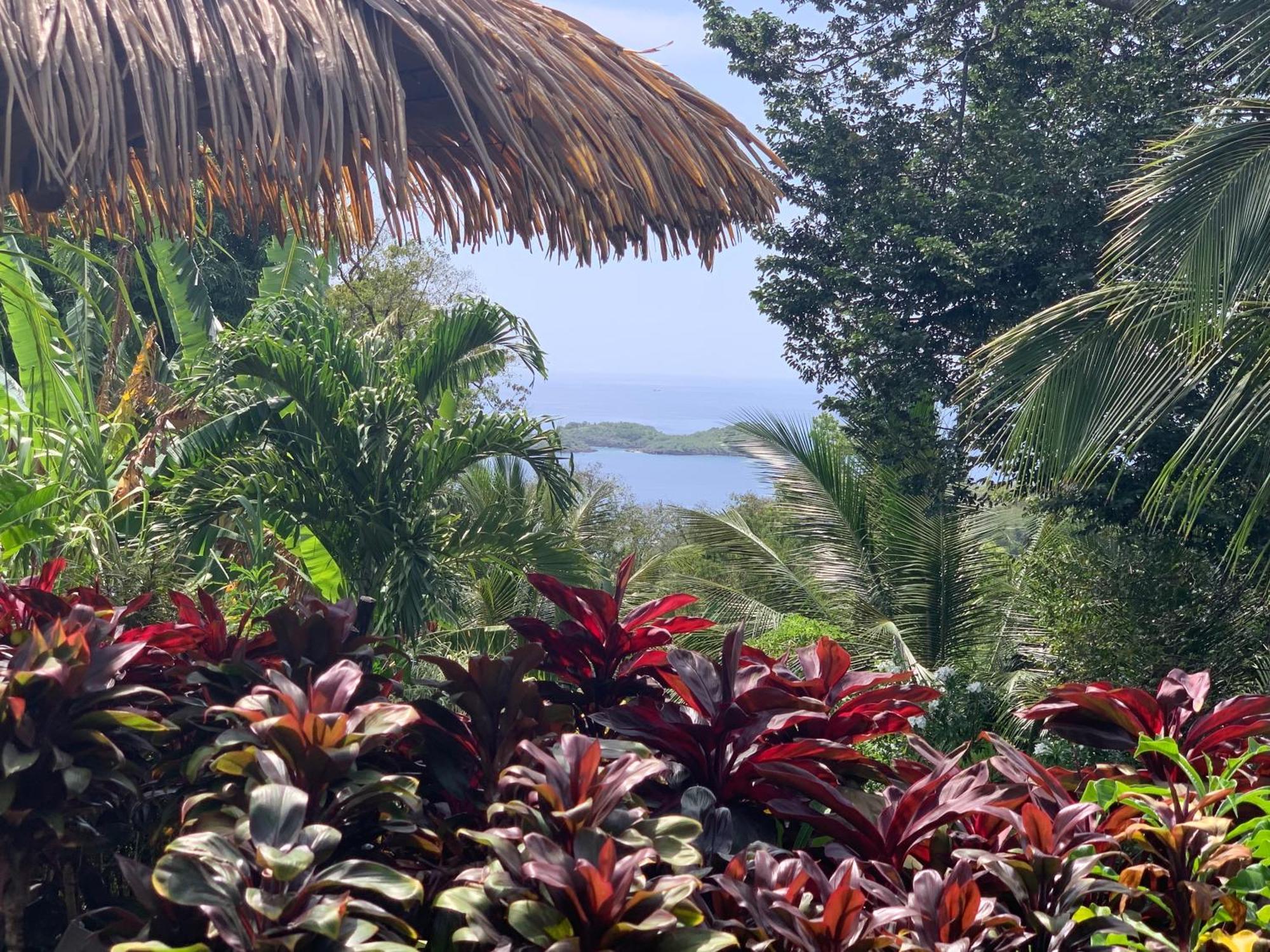 Les Ilets Caraibes Vue Mer Bouillante Bagian luar foto